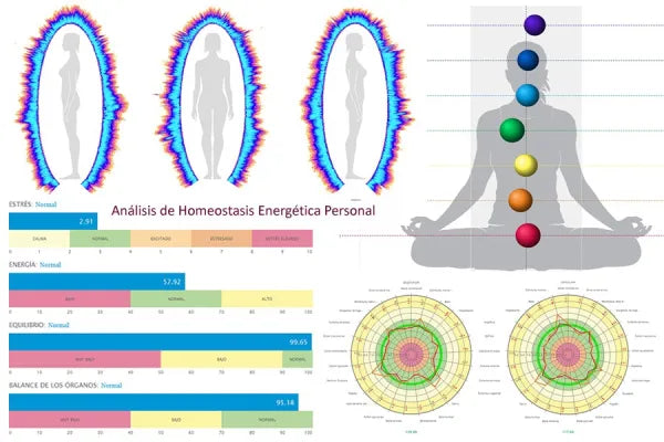 Měření čaker: Diagnostika bioenergetického pole, energetická rovnováha těla, stresové úrovně, emocionální stav a aktivita čaker, harmonizace těla a mysli